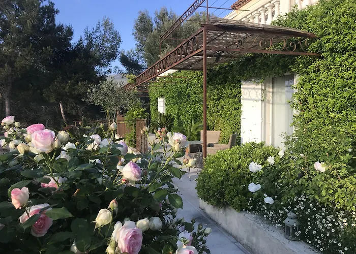 Villa Kilauea B&B Nice